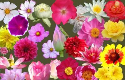 思明科技新三板募资1296万元补充营运资金，百合科技等企业动态聚焦