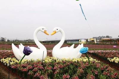 百合科技绽放，种业文化新地标——全国首家种业主题农业公园开园侧记