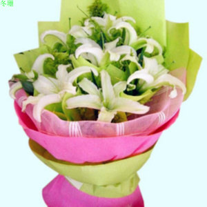 深圳博乐数码科技时代与百合科技 创新驱动下的数码科技双星