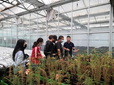 兰州大学暑期社会实践大学生一行走进爽口源股份百合博览园参观学习